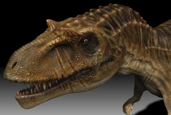 Albertosaurus 01