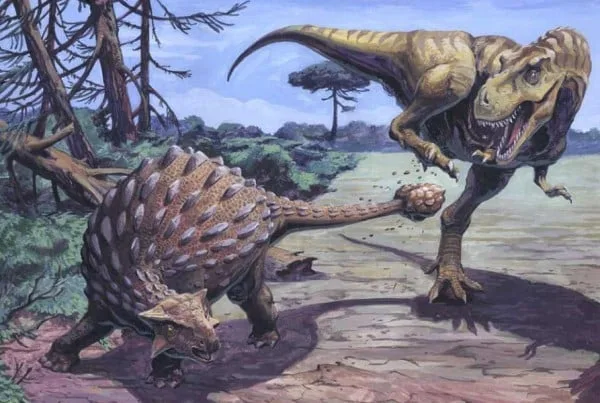 Ankylosaurus 01
