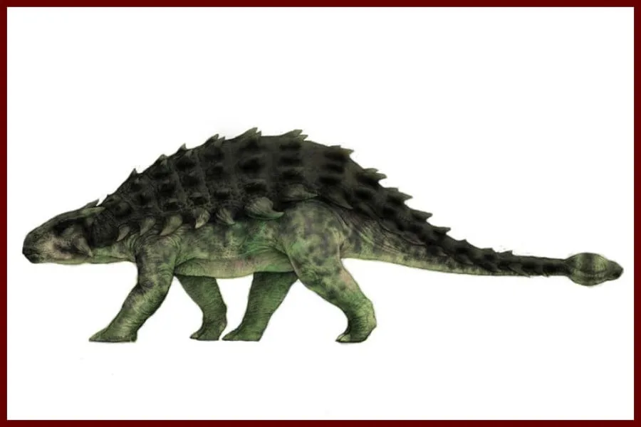 Ankylosaurus 1908
