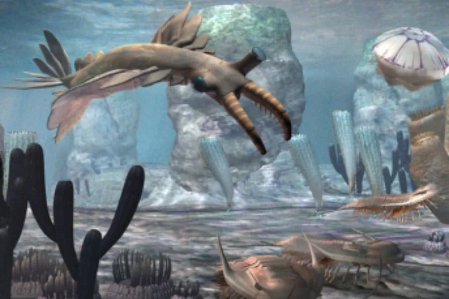 Anomalocaris 01