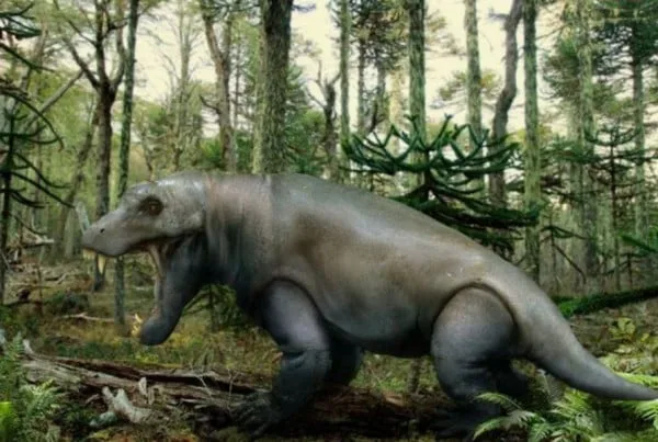 Anteosaurus 01