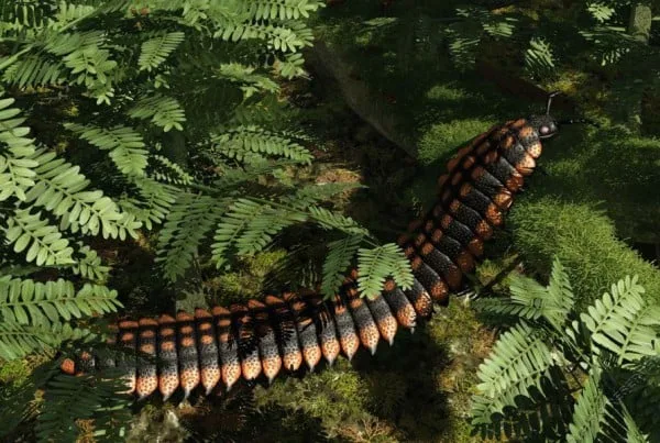 Arthropleura 01