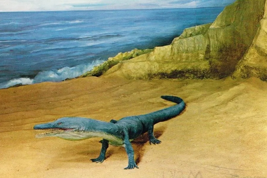 Askeptosaurus 01