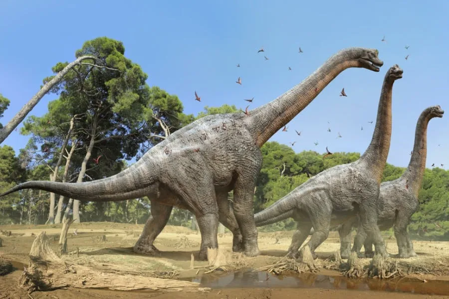Brachiosaurus 01