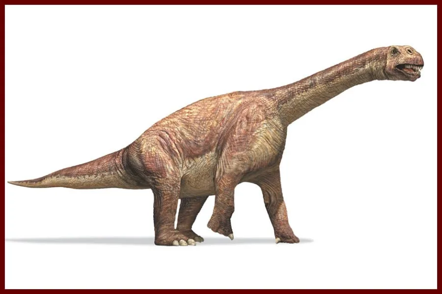 Camarasaurus 1877