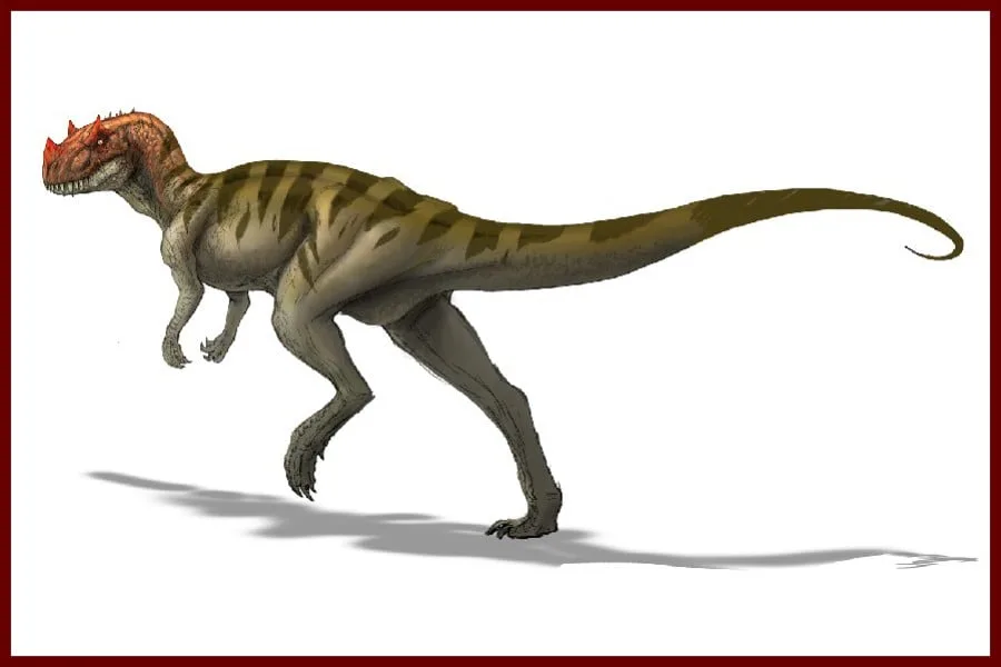 Ceratosaurus 1884