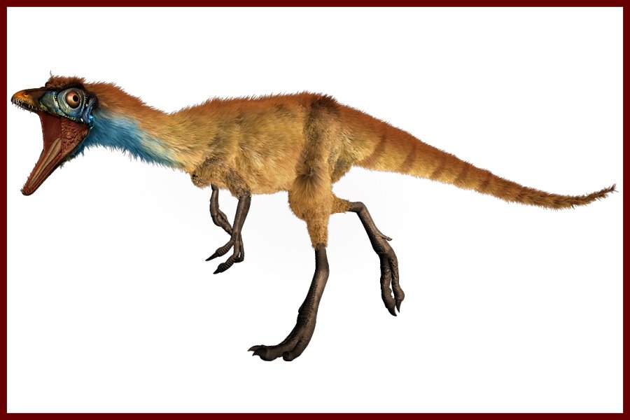 Compsognathus Recordsaurios
