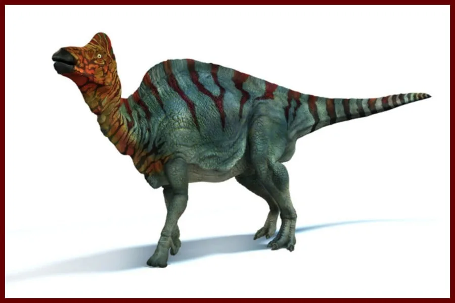 Corythosaurus 1914