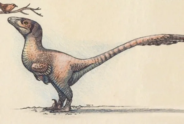 Deinonychus 01
