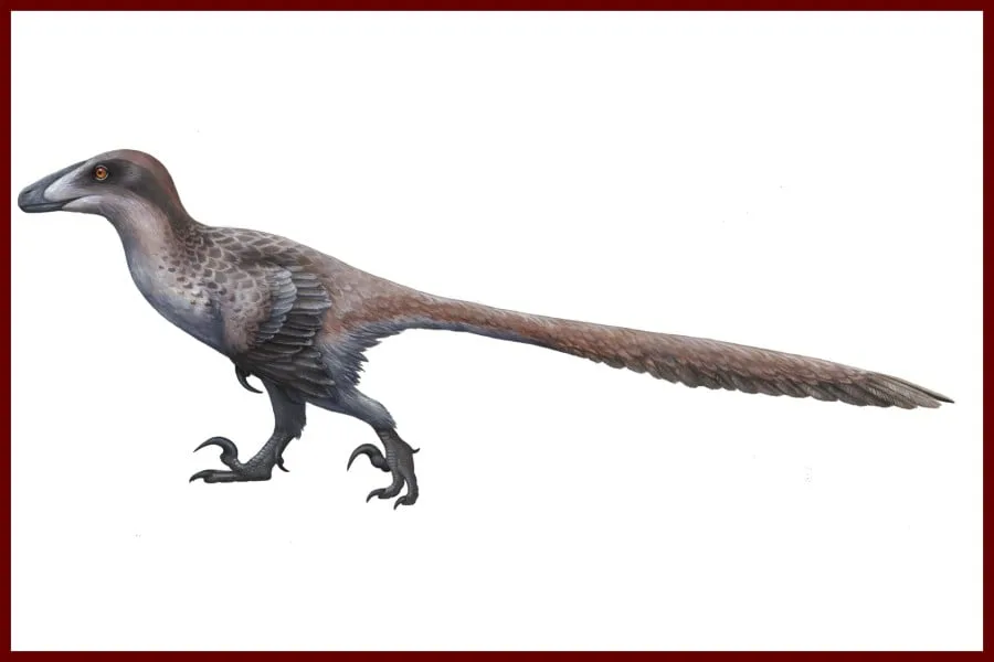 Deinonychus 1969