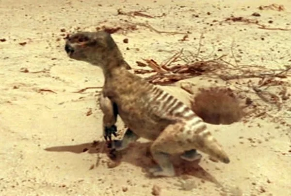 Diictodon 01