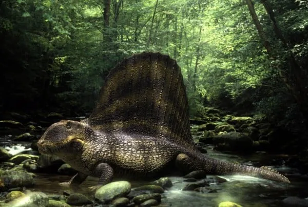 Dimetrodon 01