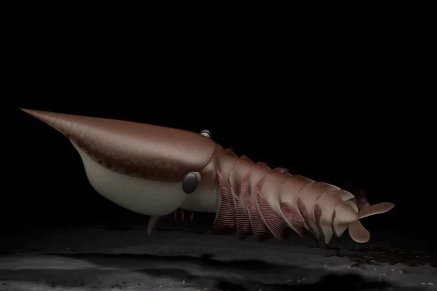 Dinocarida 01