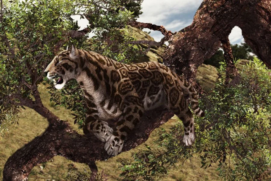 Dinofelis 01