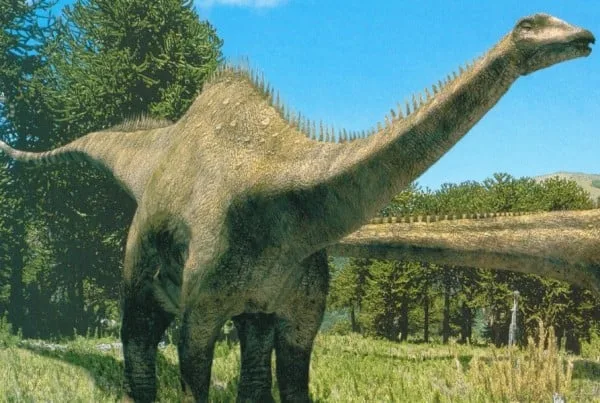 Diplodocus 01