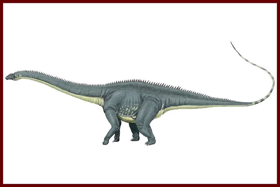 Diplodocus 1878