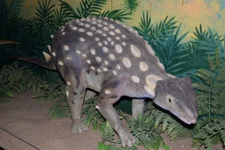 Dracopelta 01