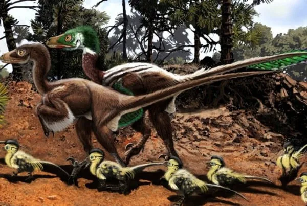 Dromaeosaurus 01