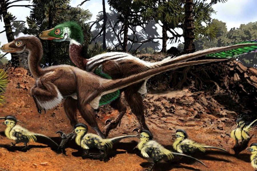Dromaeosaurus 01