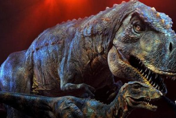 El Color de los Dinosaurios 01