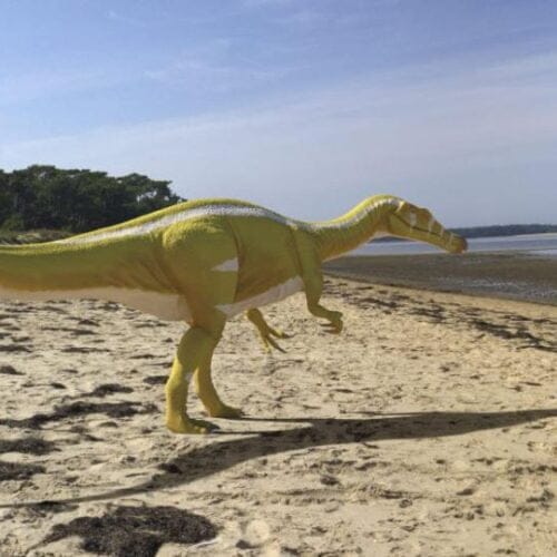 Mamut | Amigos de los Dinosaurios y la Paleontología