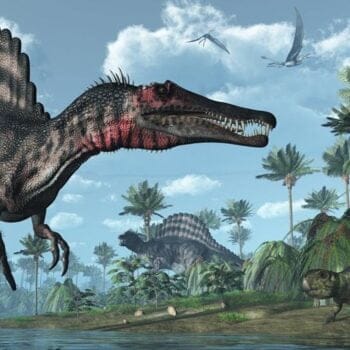 Deinosuchus | Amigos de los Dinosaurios y la Paleontología