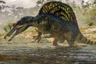 La Hormiga Dinosaurio | Amigos de los Dinosaurios y la Paleontología