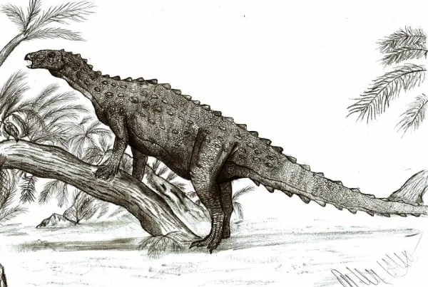 Emausaurus 01