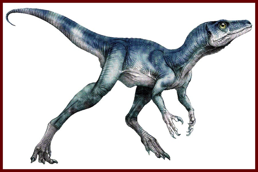 Eoraptor Recordsaurios