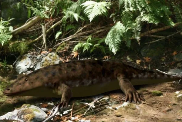 Eryops 01