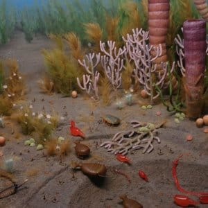 Fauna Silúrico ID