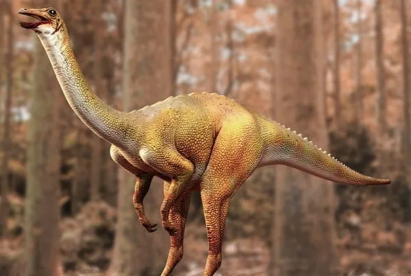 Gallimimus 01