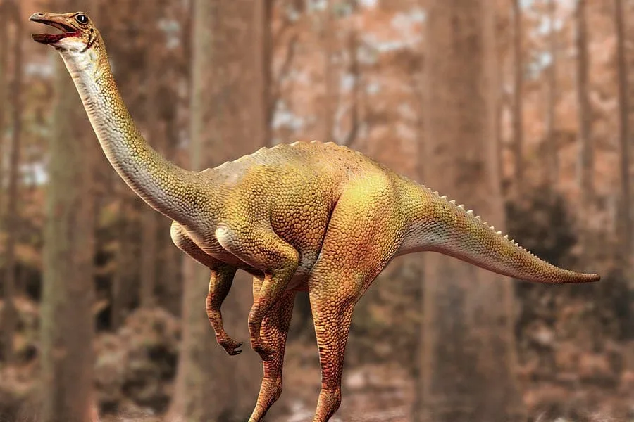 Gallimimus 01