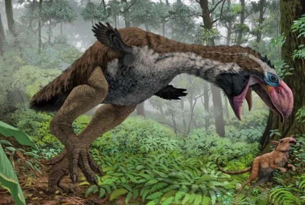 Gastornis 01