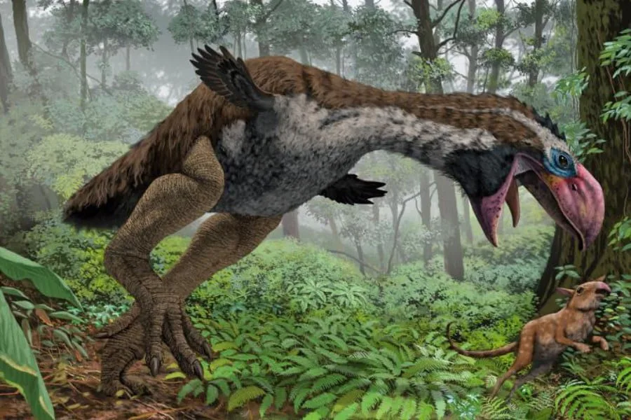 Gastornis 01