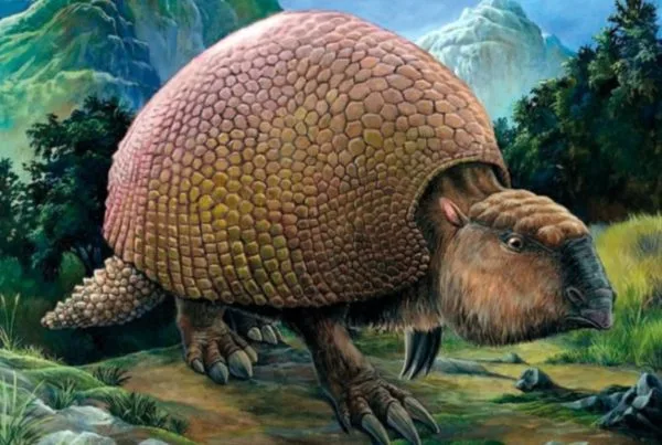 Glyptodon 01