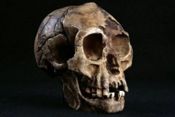 Homo Floresiensis 01
