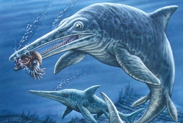Ichthyosaurus 01