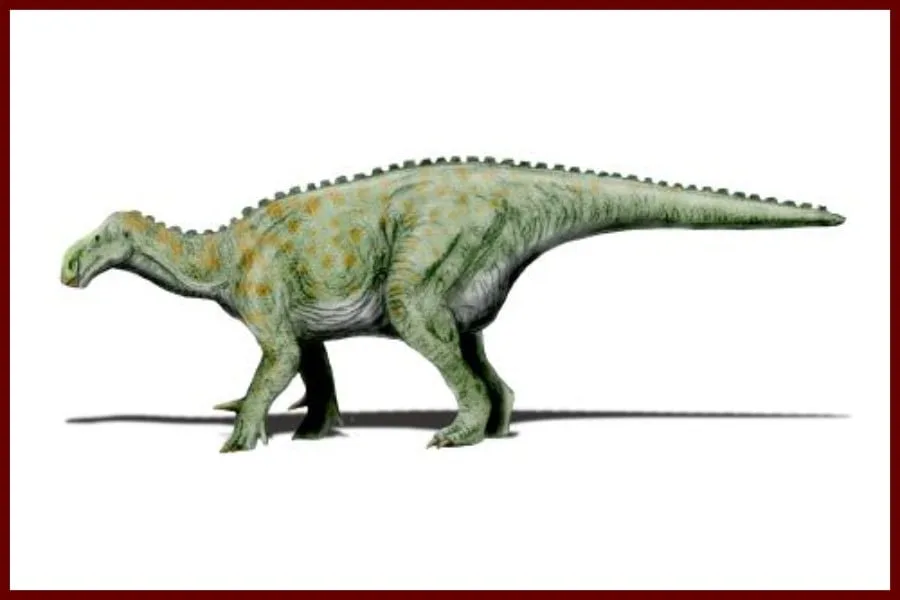 Iguanodon 1825
