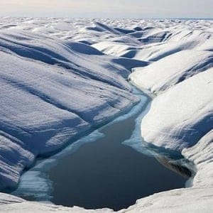La Edad del Hielo ID