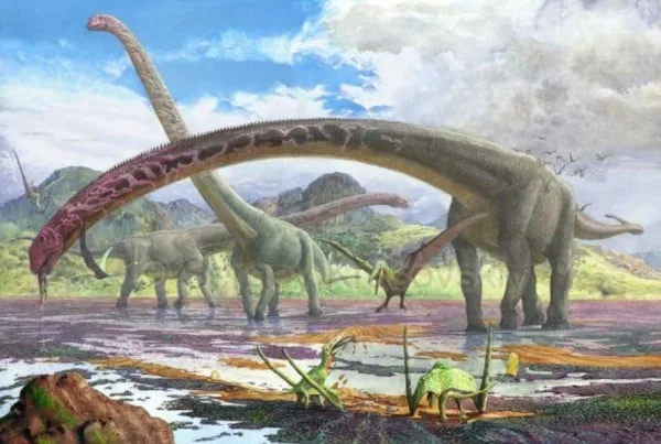 Mamenchisaurus 01