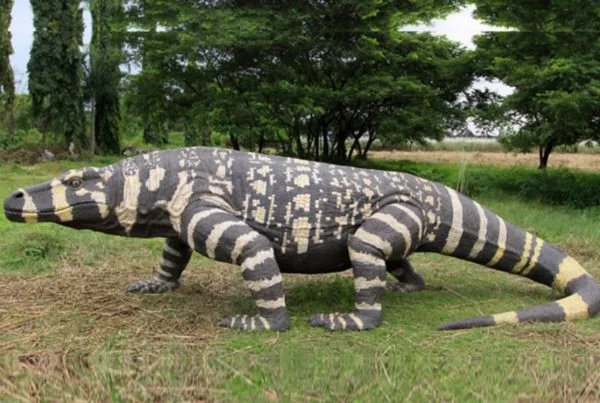 Megalania 01