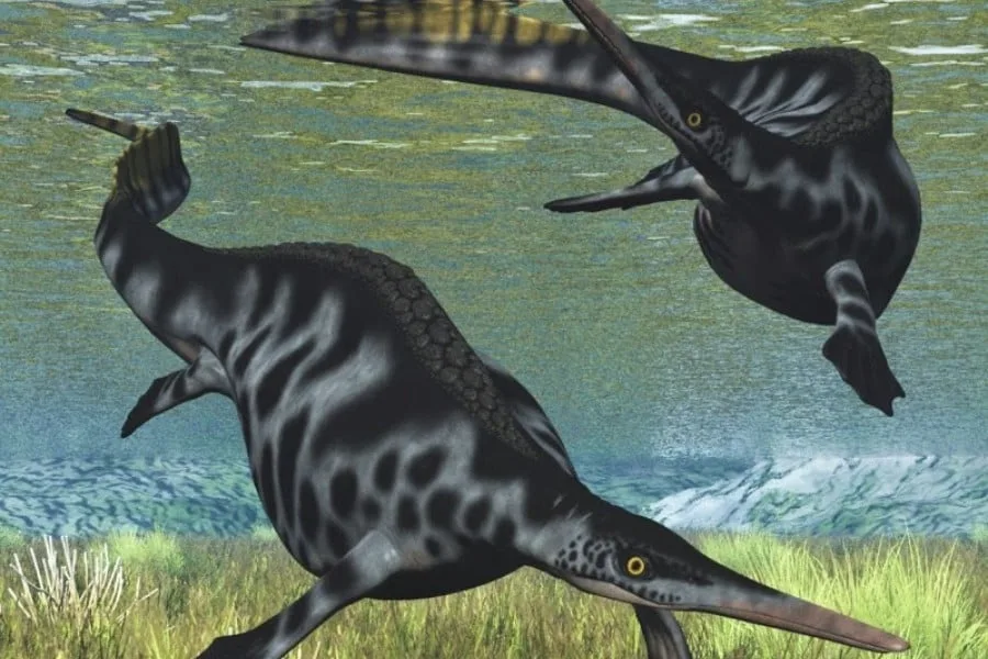 Nanchangosaurus 01
