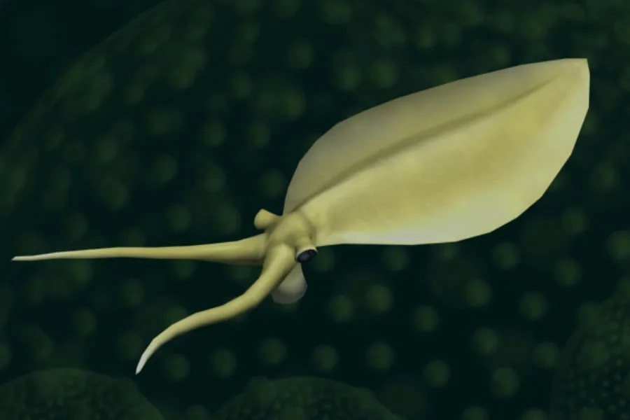 Nectocaris 01