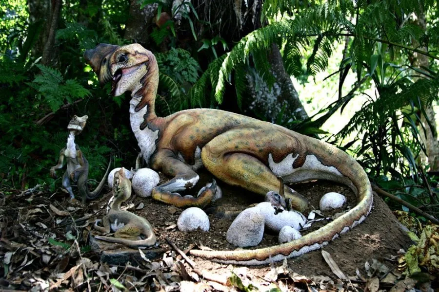 Oviraptor 01
