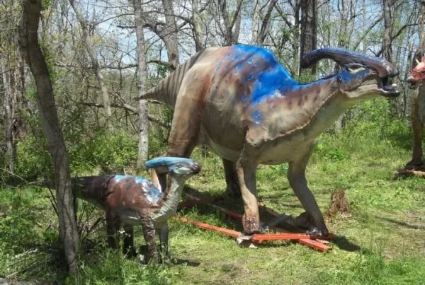 Parasaurolophus 01