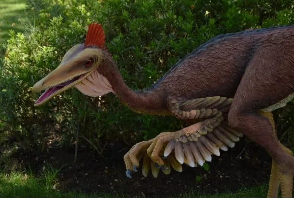 Pelecanimimus 01