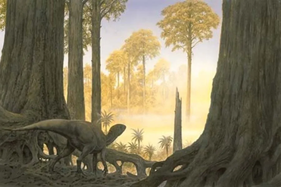 Pisanosaurus 01