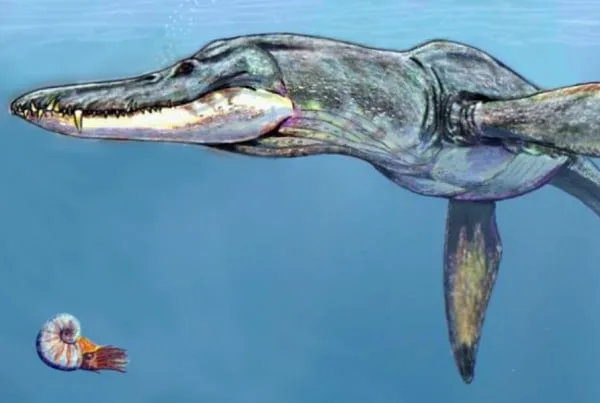 Pliosaurus 01