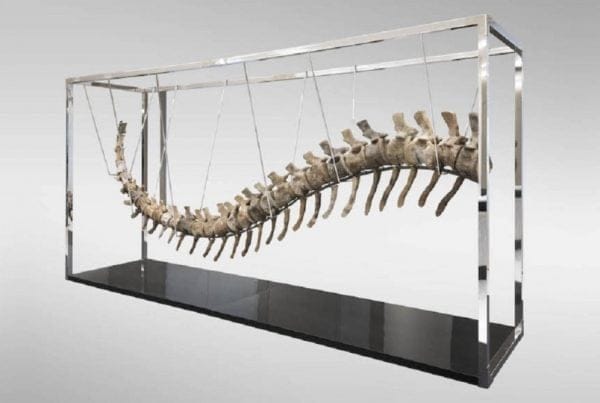 Por una Cola de Dinosaurio 01